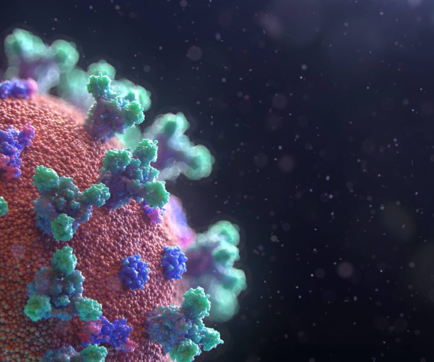 Visualization of the Coronavirus