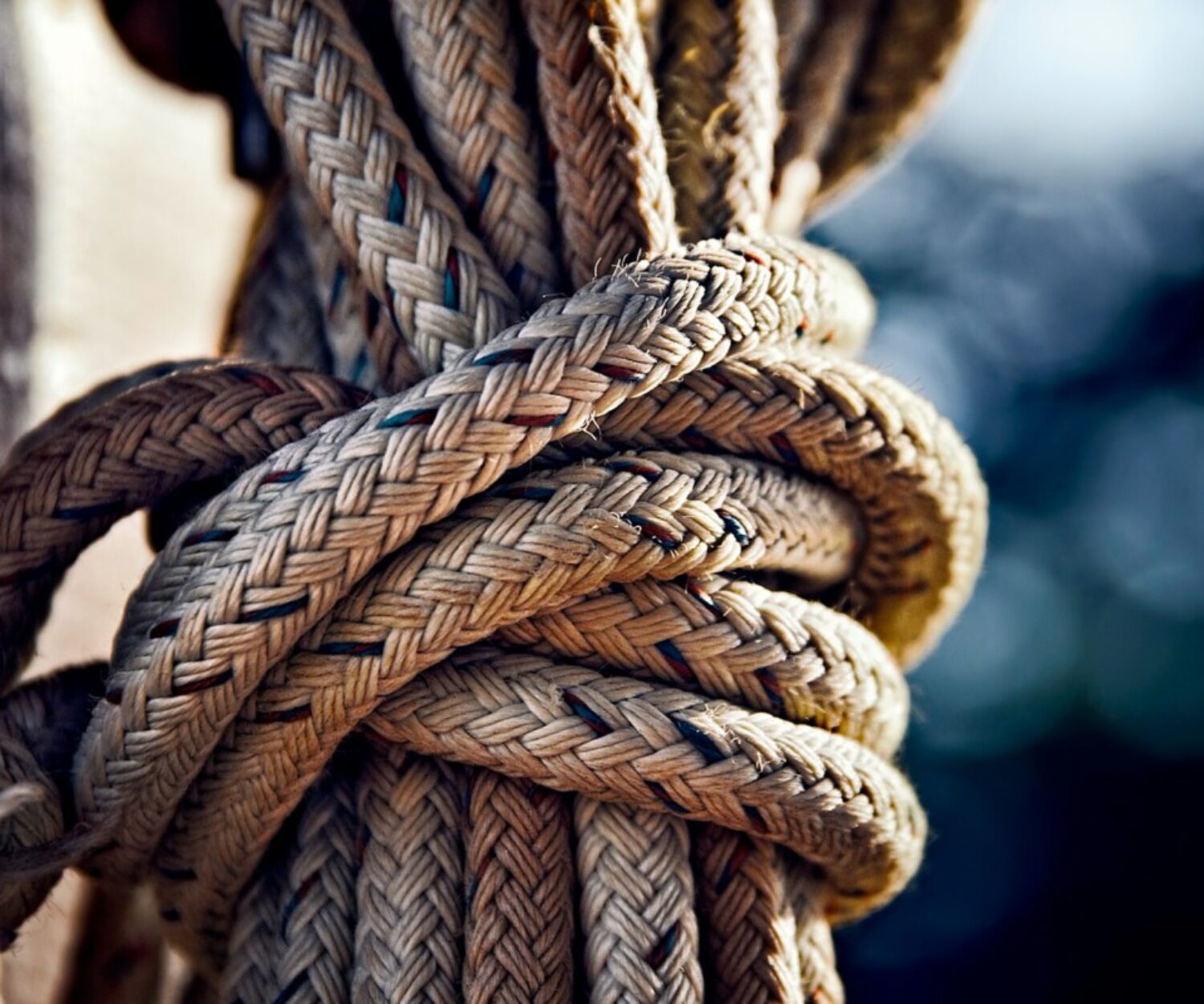 closeup photo of brown rope