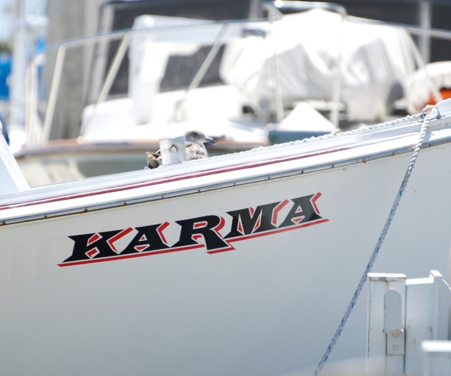 boat, karma, marina