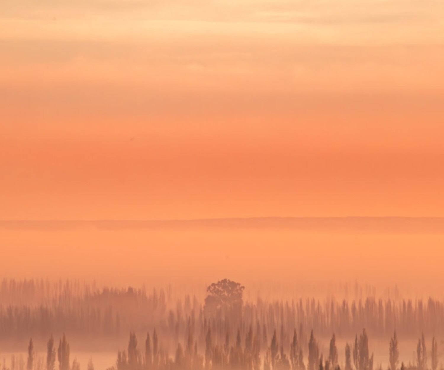 Orange sunset over a misty forest landscape.