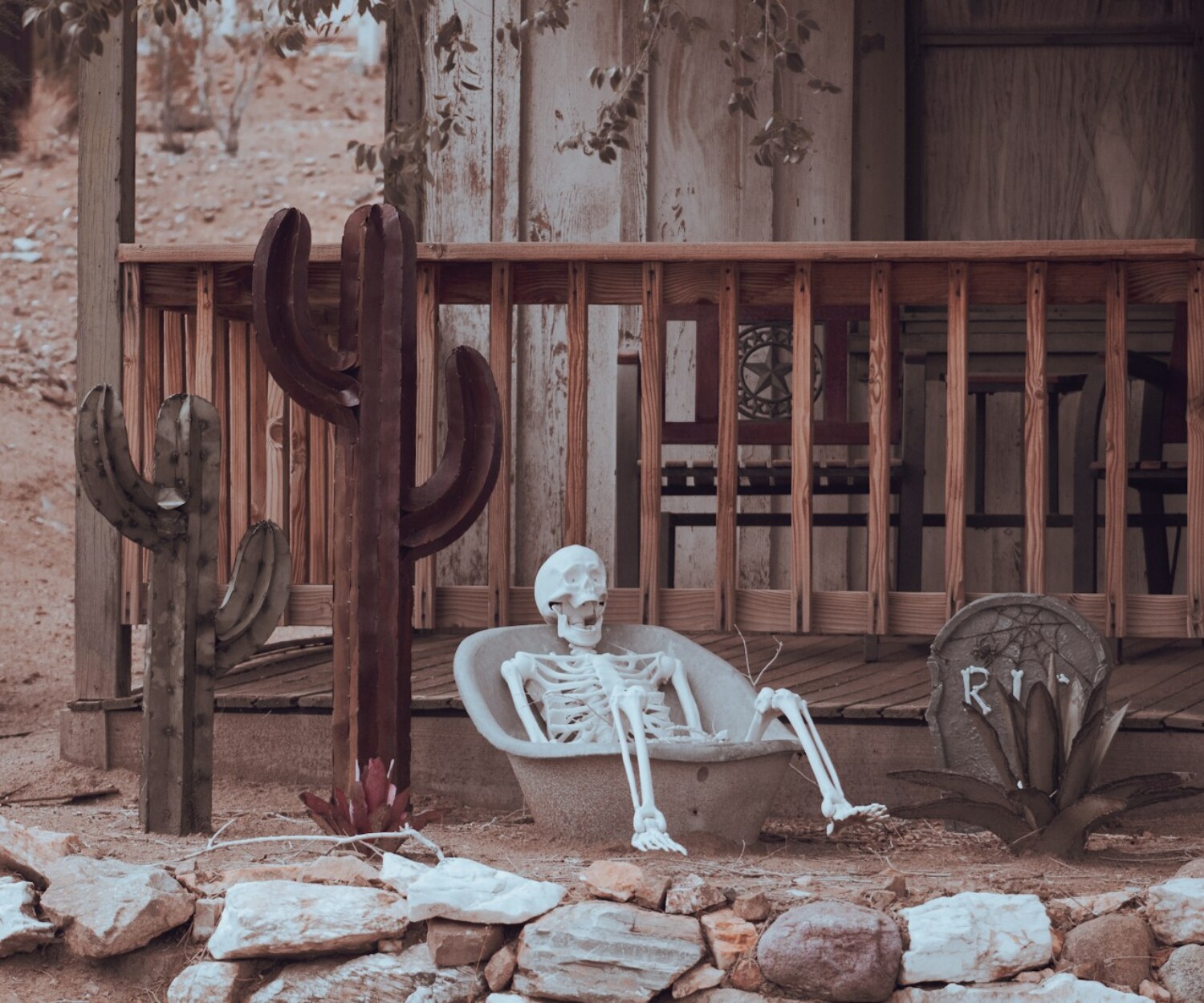 man sitting on brown wooden bench