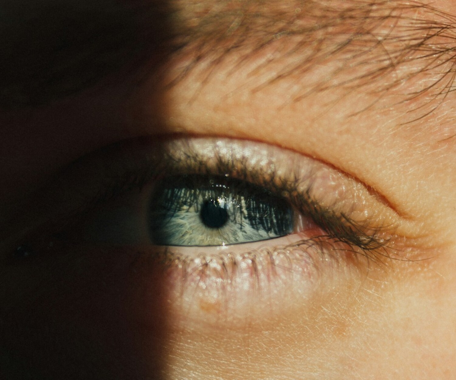 Close-up of a blue human eye with dramatic lighting