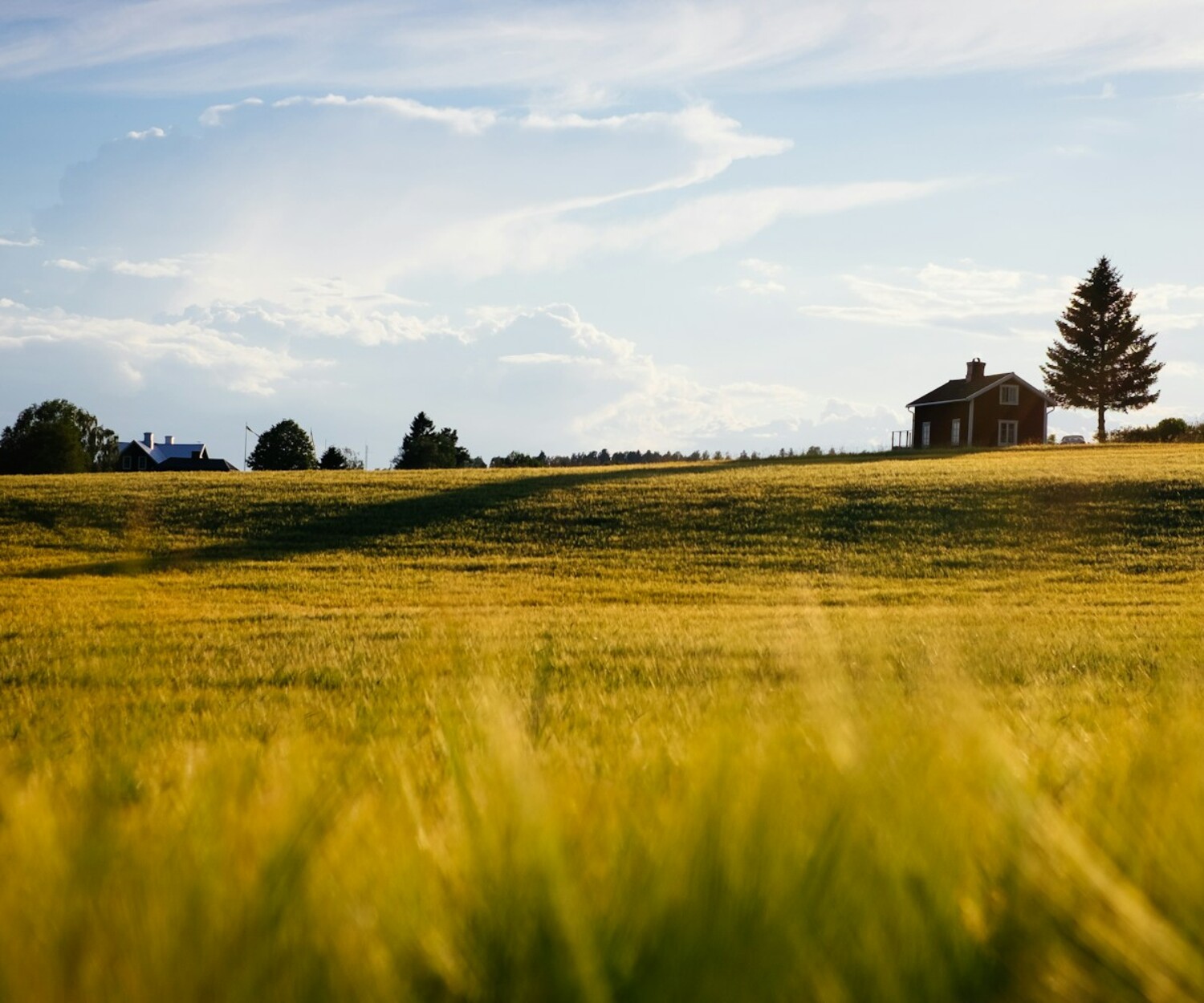 green grass field with house during daytime